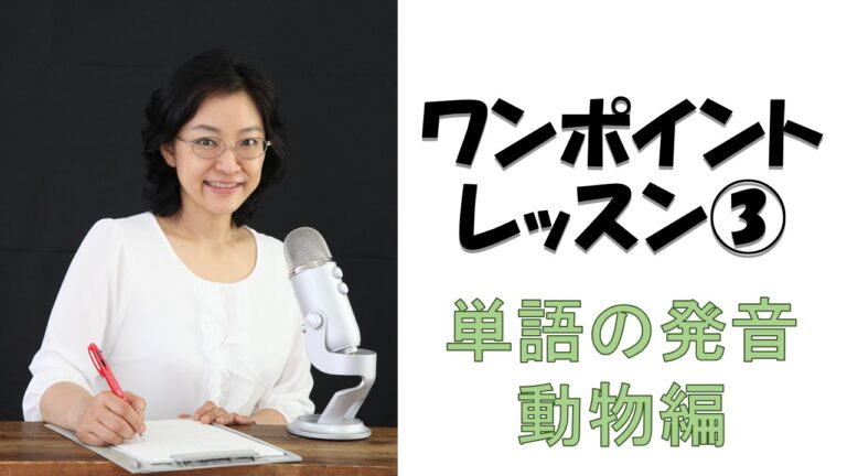 動画第３弾！